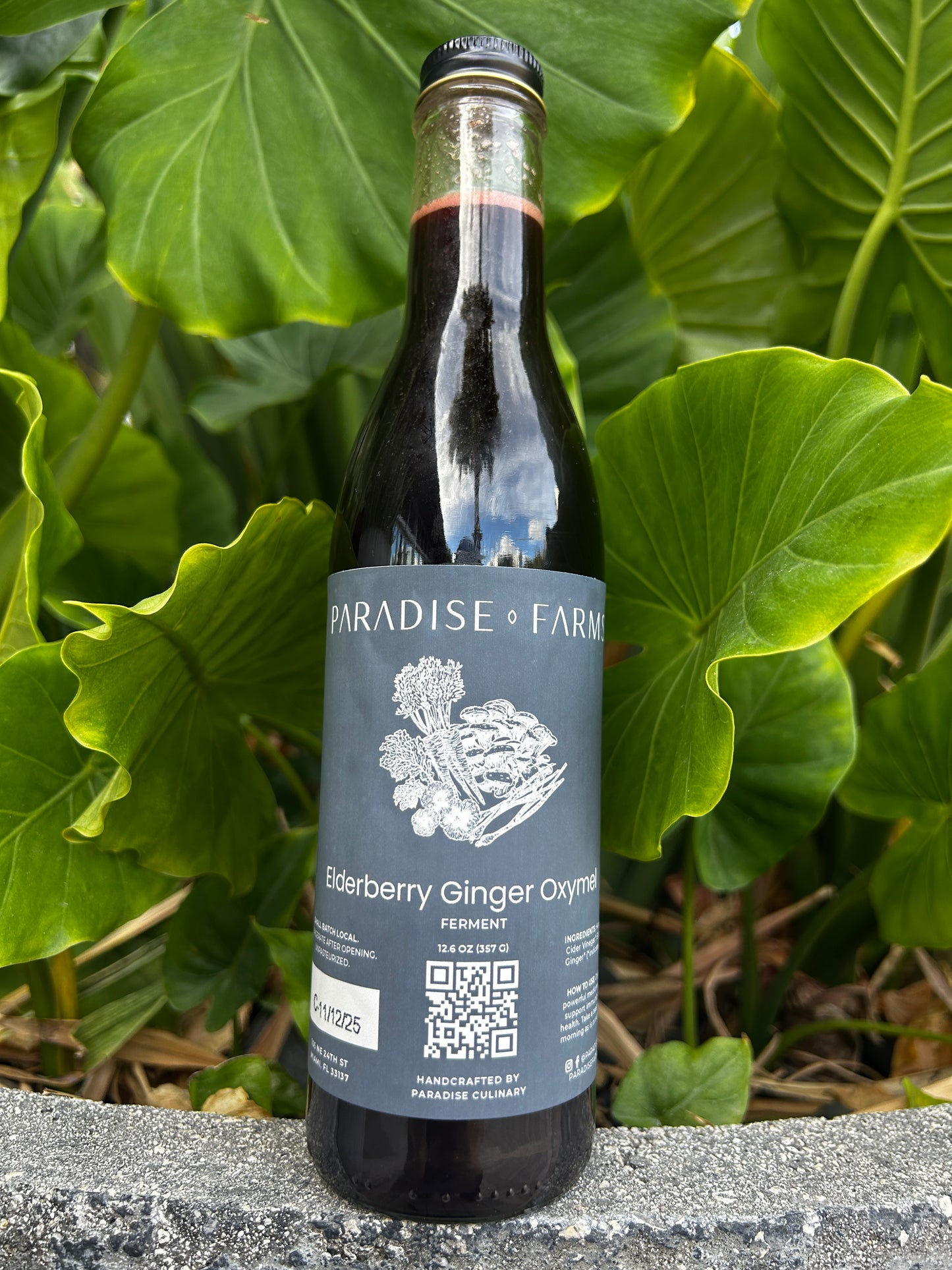 Elderberry Ginger Oxymel