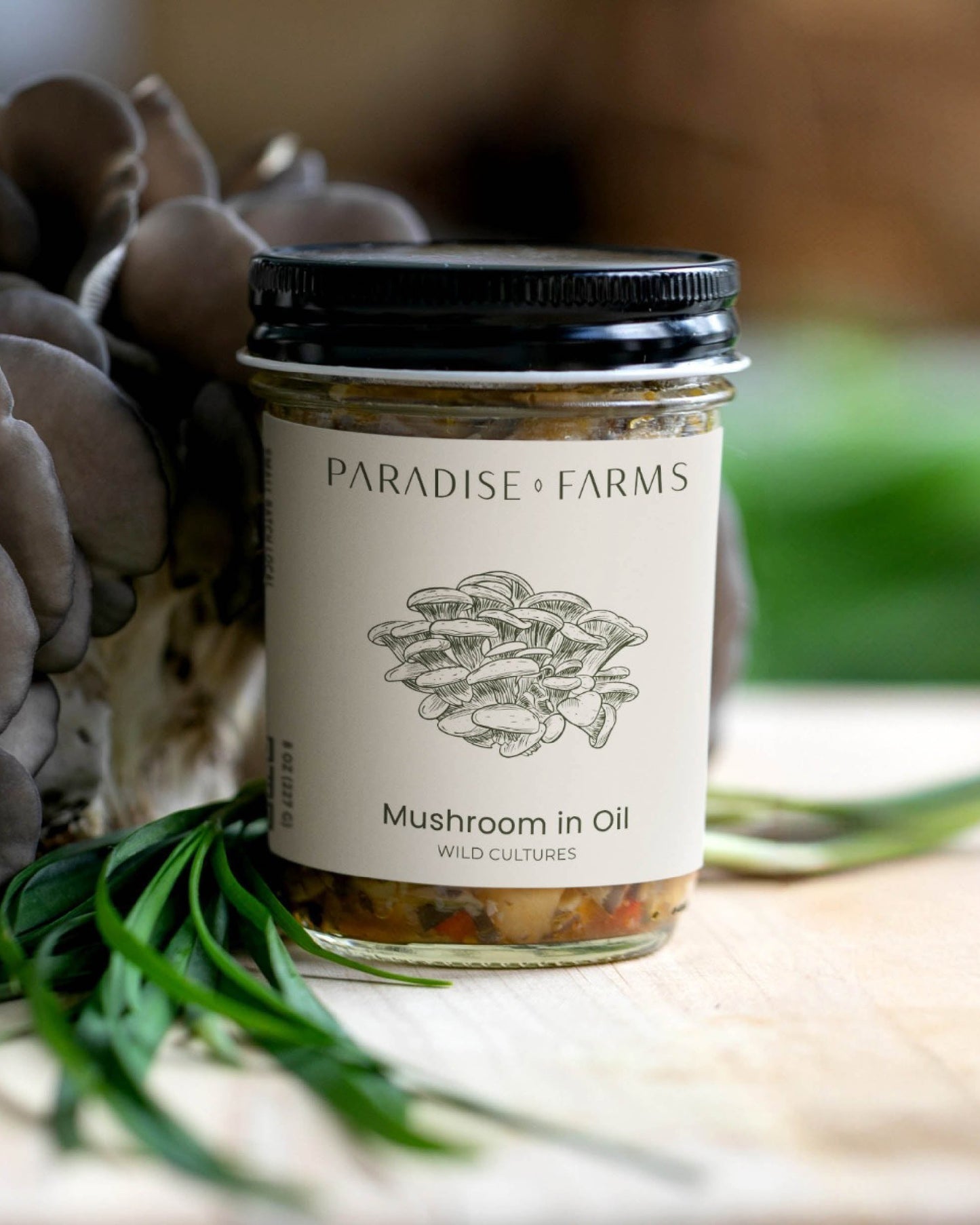 Mushrooms in Oil – Case