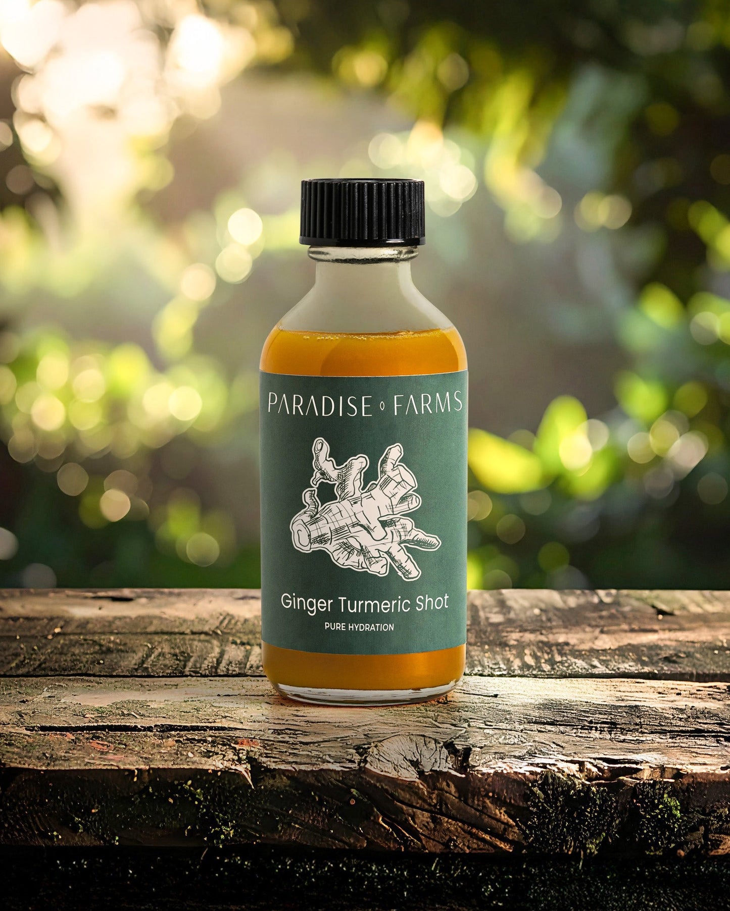 Ginger Turmeric Shot – 12 Count