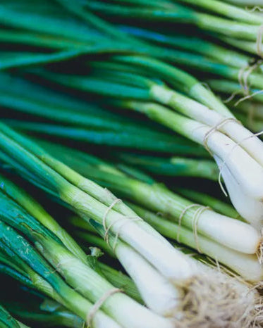 Scallions PF