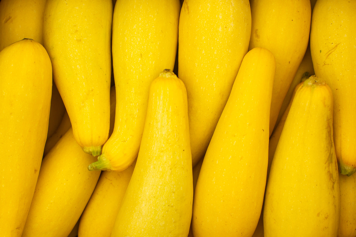 Yellow Squash (ea)