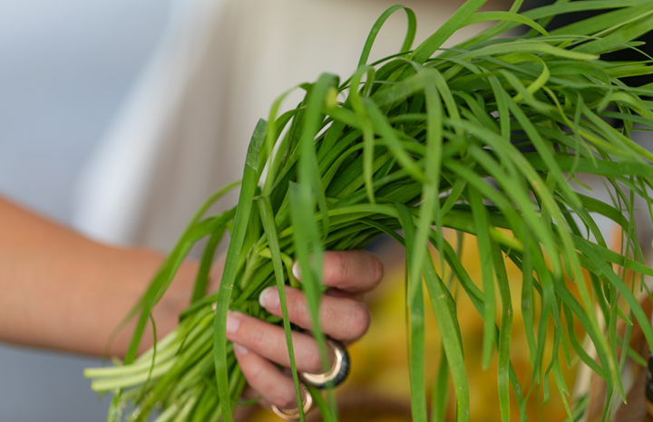 PF Garlic Chives (bch)