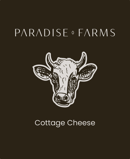 Cheese, Cottage  16 oz