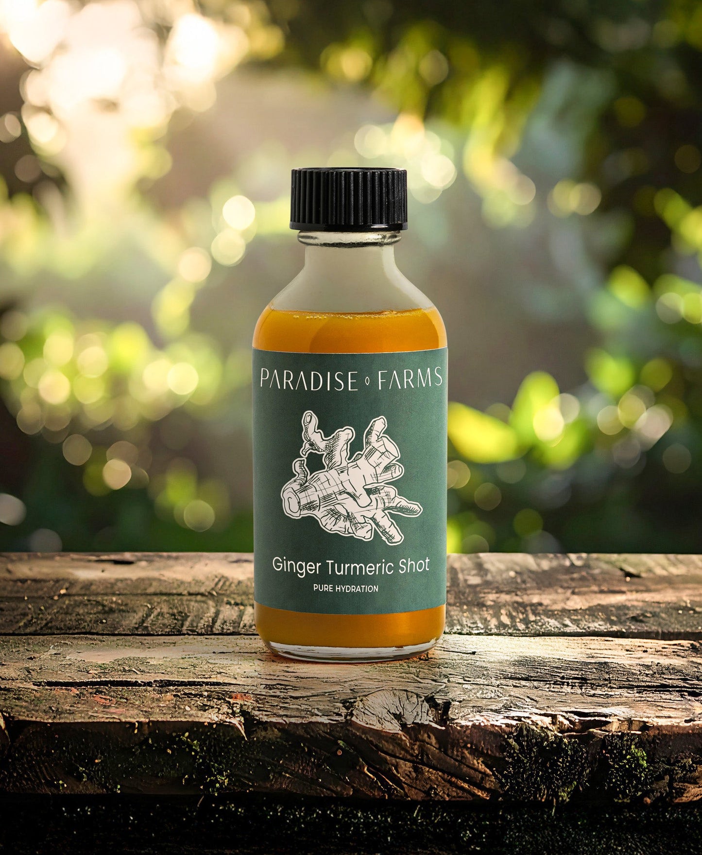 Ginger Turmeric Shot (dz)