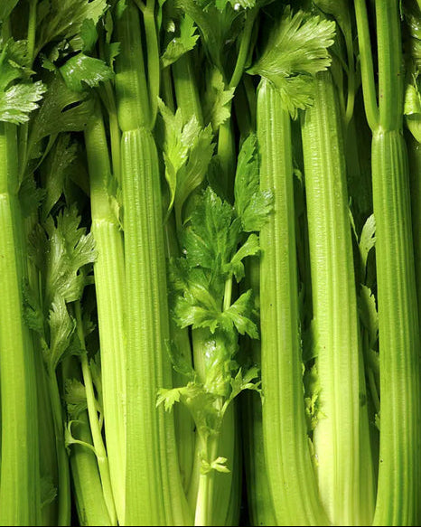 Celery