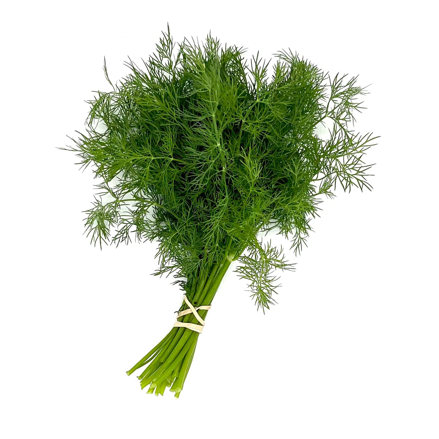 Dill (bch)