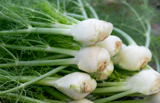 Fennel each