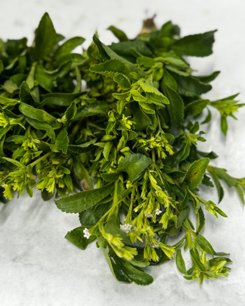 Stevia PF