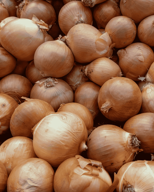 Yellow Onion